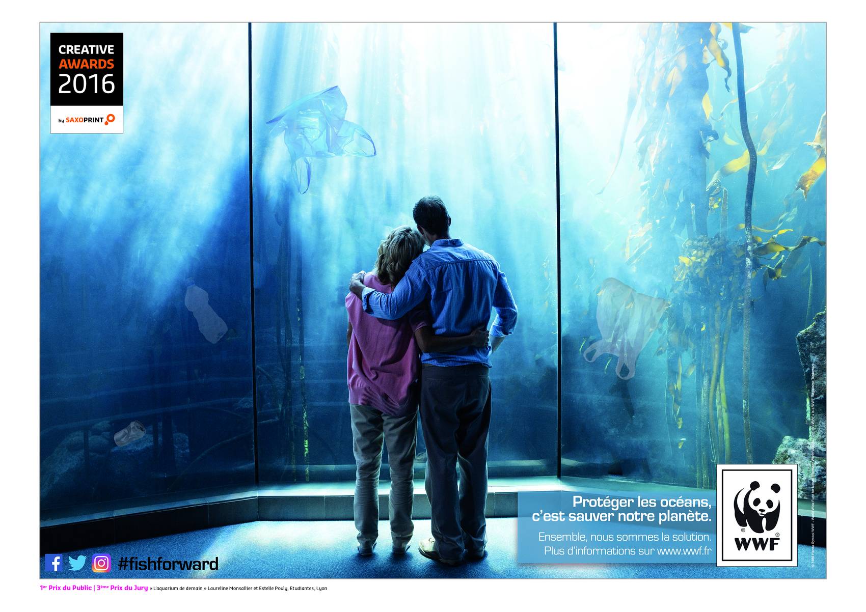 Concours Grande Cause Aquarium