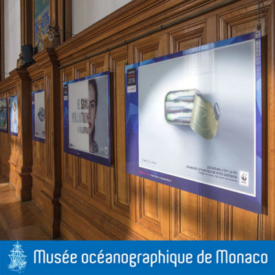 Organisation d’une exposition au musée océanographique de Monaco