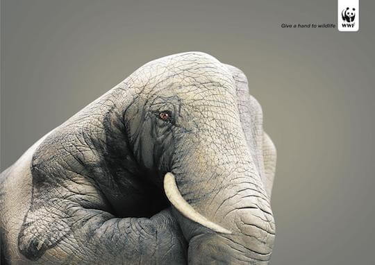 Give a hand to wildlife Eléphant 