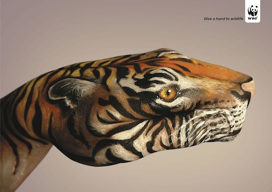 Give a hand to wildlife Tigre