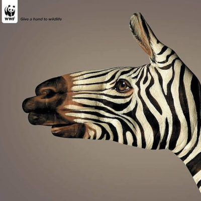 L’agence Mlle Pitch aime la campagne « Give a hand to wild life »